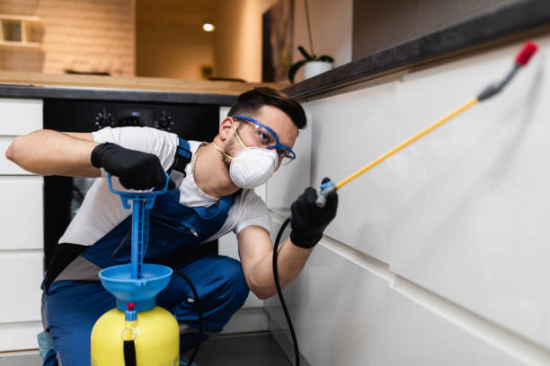 Trusted Wadley, GA Pest Control Experts