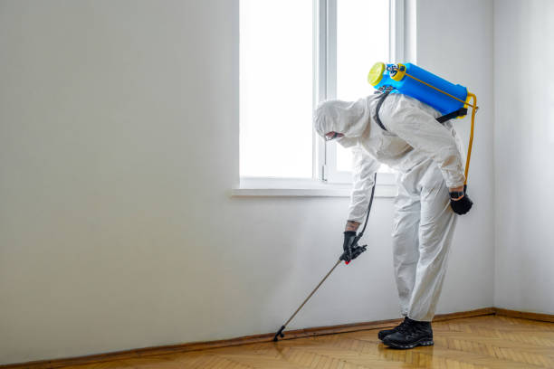 Pest Control Cost in Wadley, GA