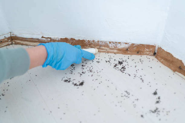 Pest Prevention Services in Wadley, GA