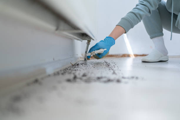 Best Pest Inspection Near Me  in Wadley, GA